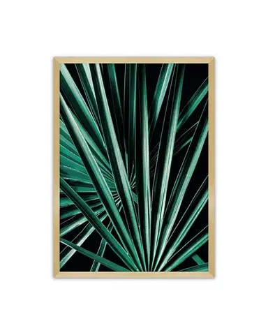 Plakát Dark Palm Tree