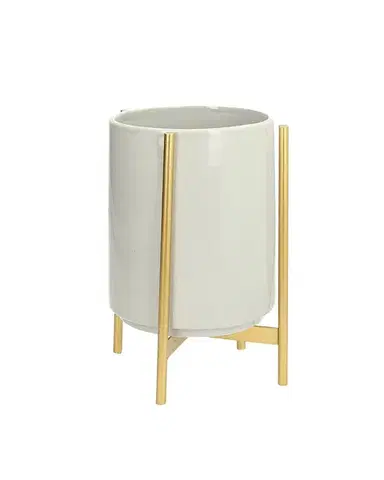Agáve Grey záhonová 22cm