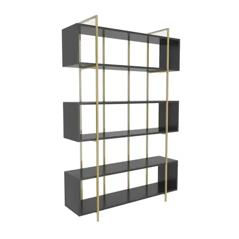 Knihovna Bruti - Anthracite, Gold