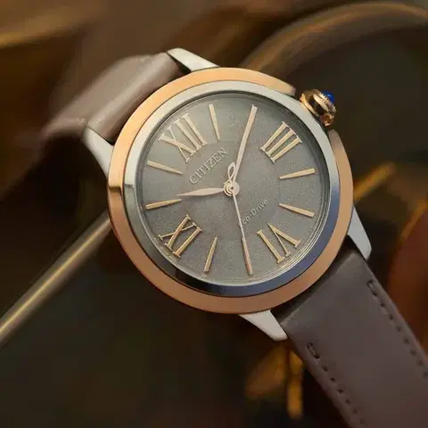 Citizen L Eco-Drive EM1166-01Z
