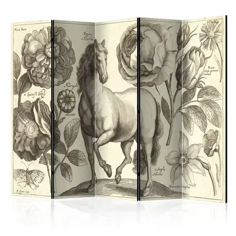 Paraván Horse Dekorhome