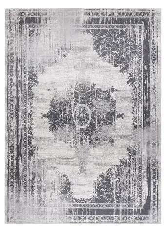 Dywany Łuszczów, Kusový koberec ANDRE Ornament 1187, 160x220, šedá, chodba / předsíň