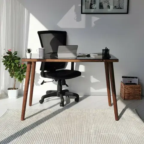 Pracovní stůl Cozy Walnut