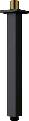 DEANTE Cascada černá Sprchové rameno, strop 250 mm NAC_N48K