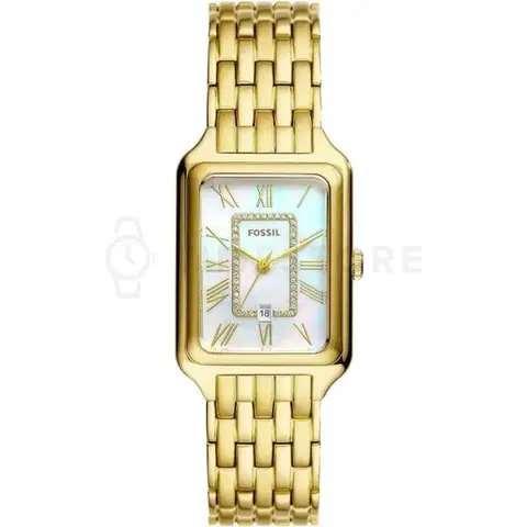 Fossil Raquel ES5304