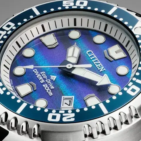 Citizen Promaster Diver Limited Edition BN0167-09W