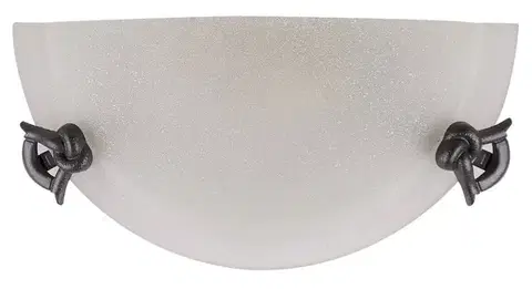 Skleněná nástěnná lampa 60W E27 Eva