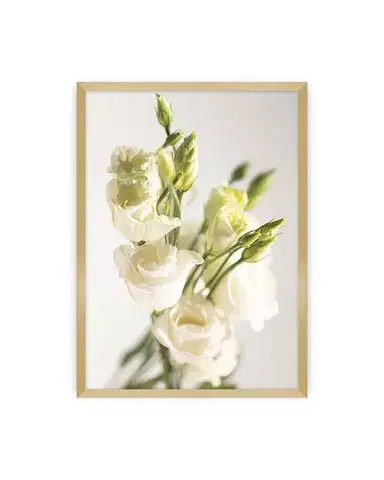 Plakát Elegant Flowers