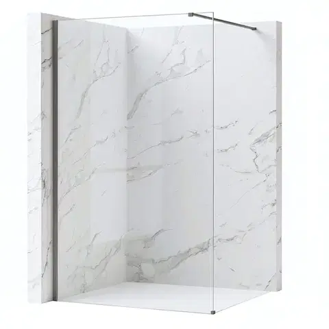 REA/S Sprchová zástěna Flexi Transparent / Titan 140 KPL-K99477