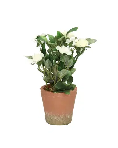 Dekorace White Rose 24cm