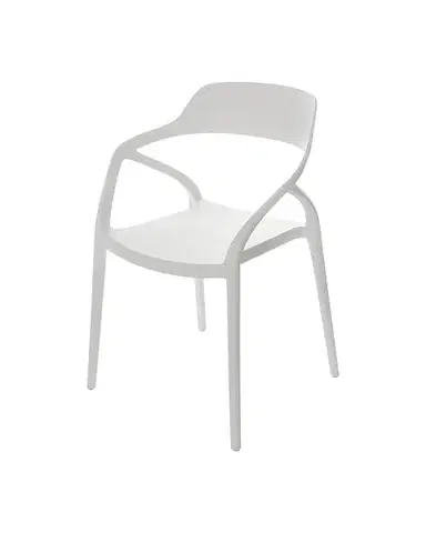 Židle Zing White