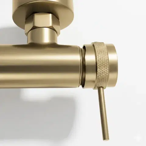REA Vanová baterie Lungo Grip Brush Gold REA-B6398