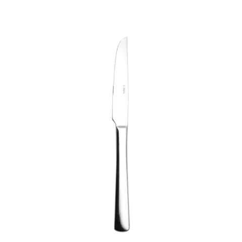 Steakový nůž 22,2 cm – Atlantic 2000 - 100156