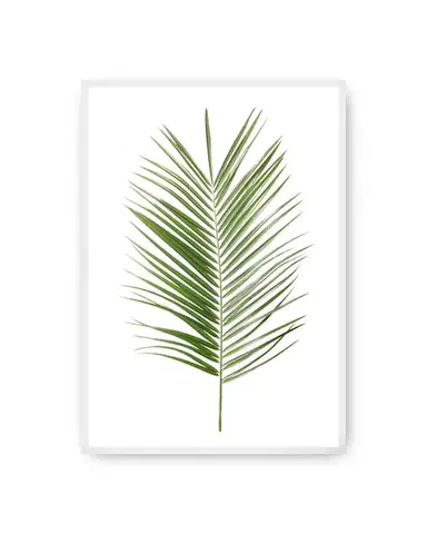 Plakát Palm Leaf Green