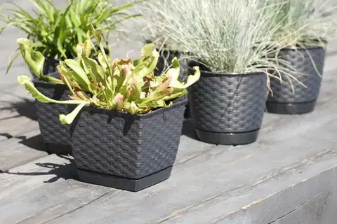 Prosperplast Květináč Ratolla Square antracit, varianta 19 cm