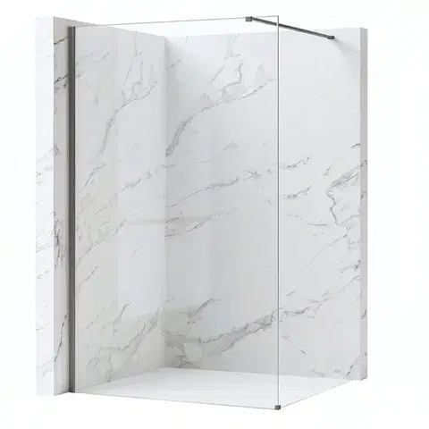 REA/S Sprchová zástěna Flexi Transparent / Titan 90 KPL-K99466