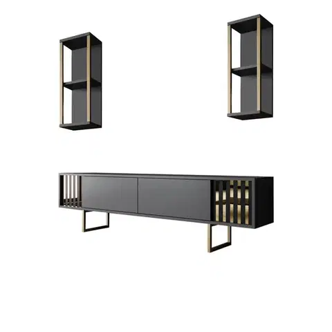 TV stěna / Sestava pod TV Gold Line - Anthracite, Black