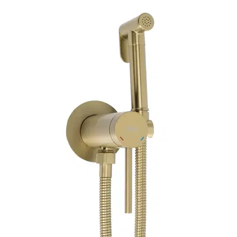 REA Podomítková bidetová baterie Foss Clif Brush Gold REA-B5844