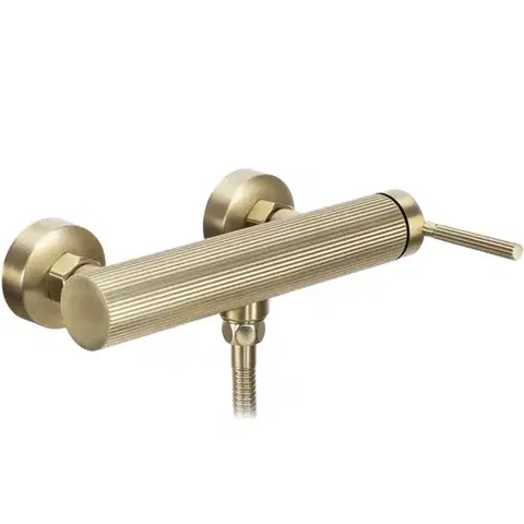 REA Sprchová baterie Argon BRUSH GOLD REA-B7806