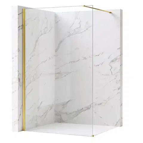 REA/S Sprchová zástěna Flexi Transparent / Gold 100 KPL-K99562