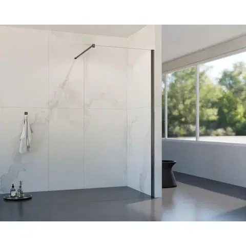 HOPA Walk-in sprchový kout LAGOS CLASSIC 195 Barva rámu Grafit, Rozměr A 80 BCLAGO80GCN