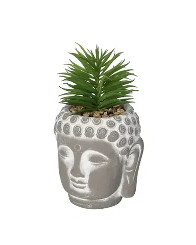 Dekorace Succulent I Buddha 17cm