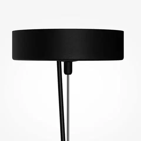 MAYTONI Závěsné svítidlo Basic Texture 5W MOD461PL-L5BK