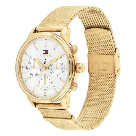 Tommy Hilfiger Blake 1782808