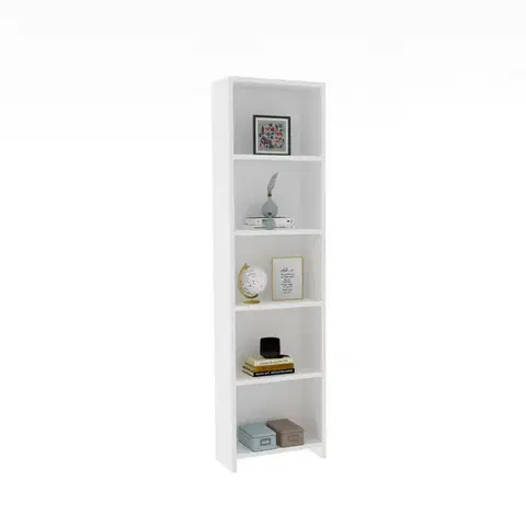 Knihovna Barkin White