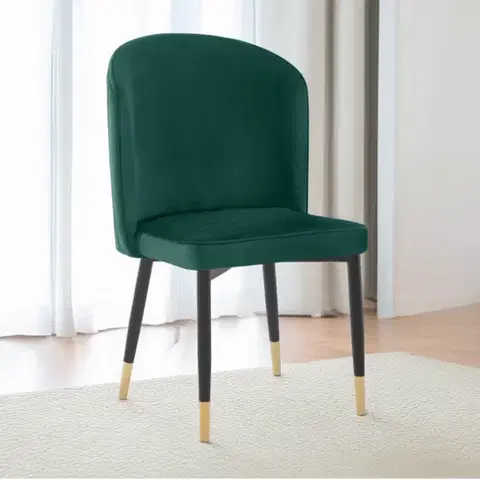 Jídelní židle UDAJA Tempo Kondela