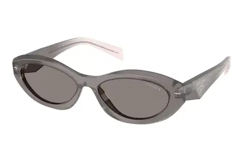 Prada PR26ZS 20F80Q - ONE SIZE (55)