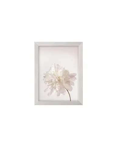 Obraz Peony III 18x24cm silver