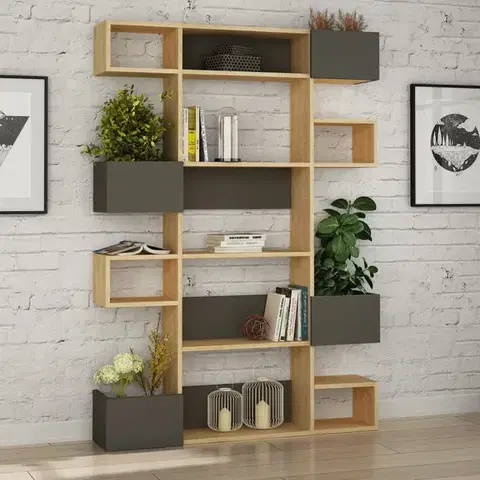 Knihovna Niho - Oak, Anthracite