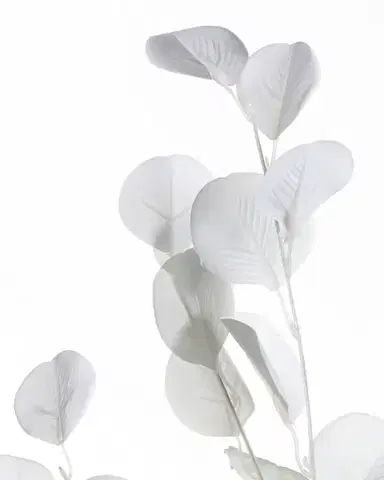 Větev eukalyptu 90cm white