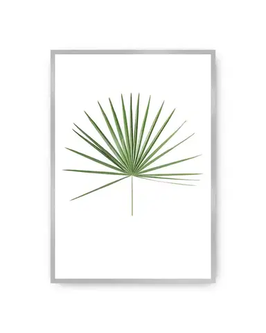 Plakát Tropical Leaf Green