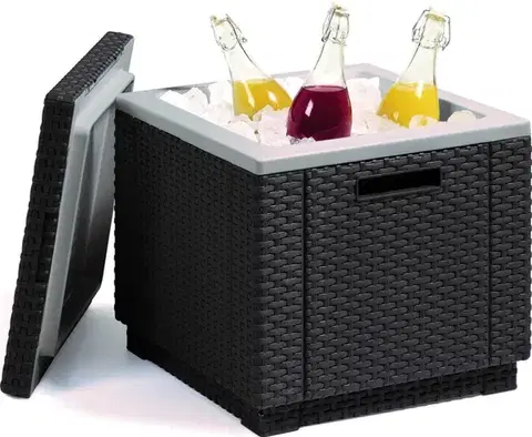 Zahradní chladicí box ICE CUBE