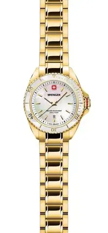 Wenger Executive 01.2021.105