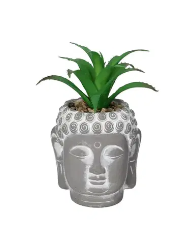 Dekorace Aloe Buddha 17cm