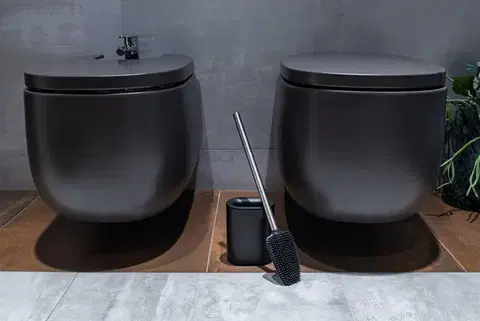 AWD Interior WC štětka (na wc rimless), kov, plast KD02021769