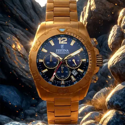 Festina  Timeless Chronograph 20684/2