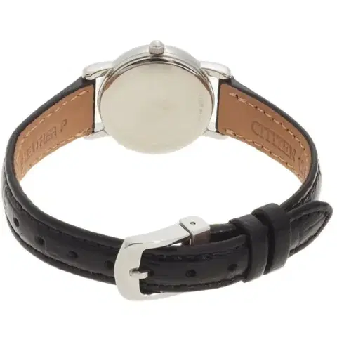 Citizen Eco-Drive FE1081-08E