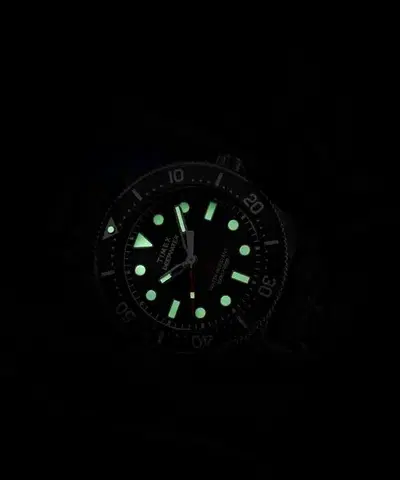 Timex Deepwater TW2Y02200UK