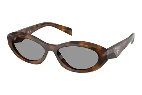 Prada PR26ZS 20D50Q - ONE SIZE (55)