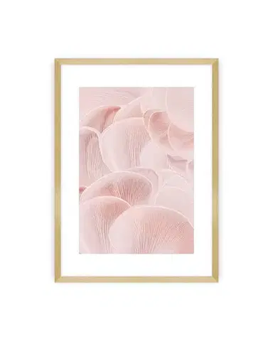 Plakát Pastel Pink I