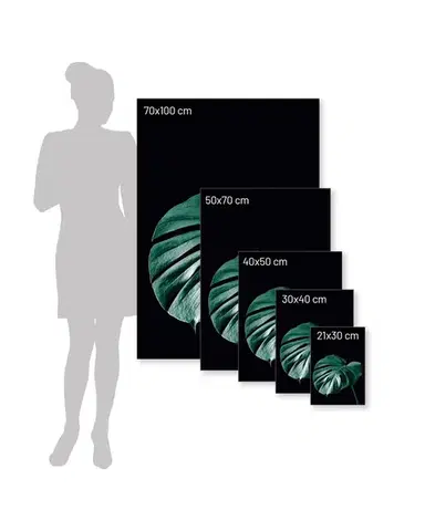 Plakát Dark Monstera