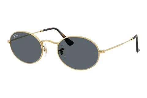Ray-Ban Oval RB3547N 001/R5 - M (51)