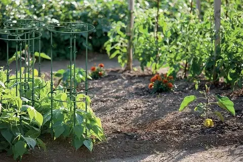 Podpěra pro rostliny FLOO SUPPORTS 35 cm