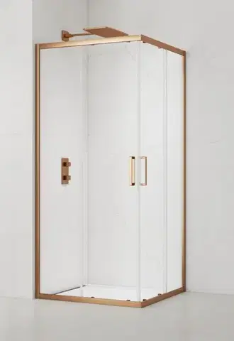 Sprchový kout čtverec 100x100 cm SAT TEX SATTEXQ100RG SATTEXQ100RG