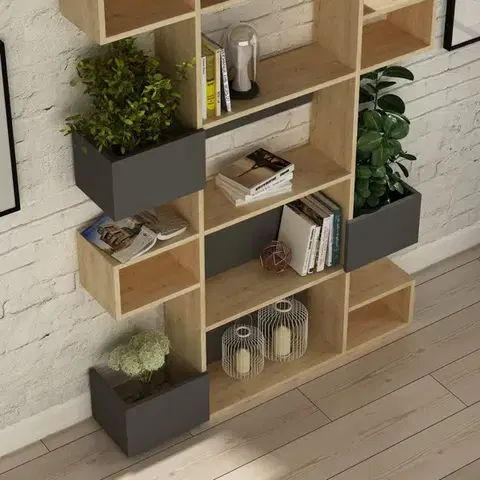 Knihovna Niho - Oak, Anthracite