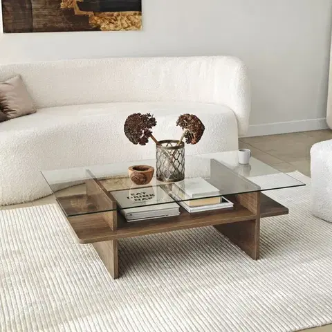 Konferenční stolek Saga Rectangle - Walnut, Transparent